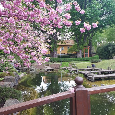 Referenzen Japanischer Garten – Gartensinne Silke Schilling